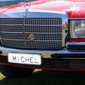 Michel-plate